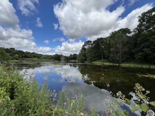 view across the lake showing the expanse