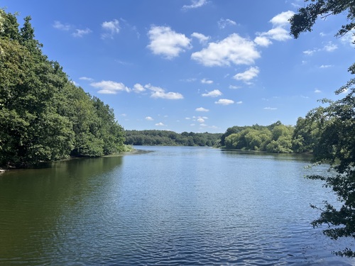 wider view of the water and surrounding greenery at Calke Abbey