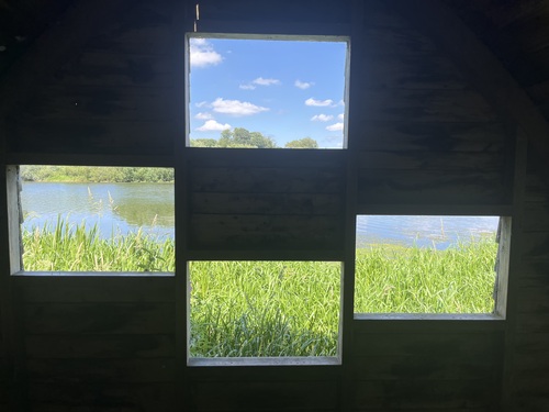 exterior of the bird hide, showing four rectangular windows looking out to the water
