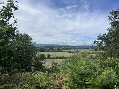 View across green fields and woodland towards distant hills, seen from Haughmond Hill forest