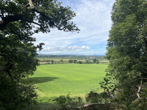 Wide view over Shrewsbury and the Shropshire plain with Welsh hills on the horizon, framed by summer trees