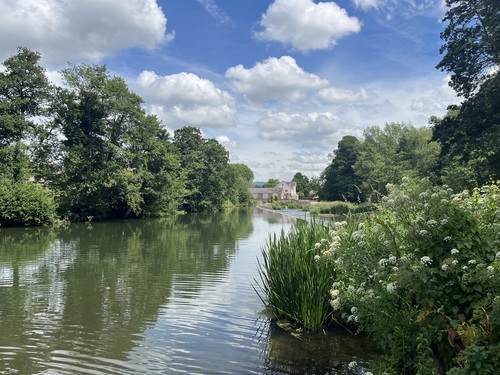 The River Teme at Ludlow, with green riverside vegetation and a stone building visible through the trees