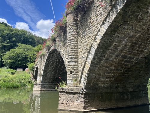 Close-up of the stone arches of Ludlow Bridge with pink valerian flowering between the stonework