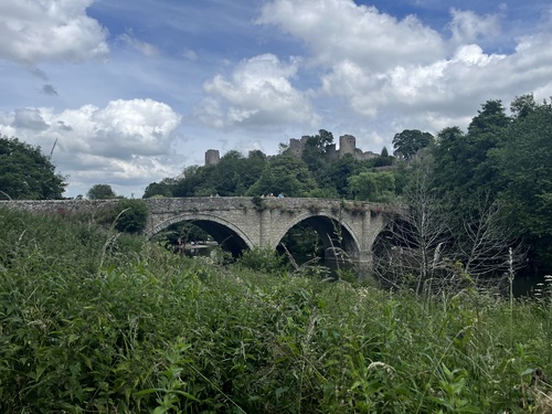 Ludlow Castle ruins on the hill above Ludlow Bridge, seen across summer meadow grass beside the River Teme