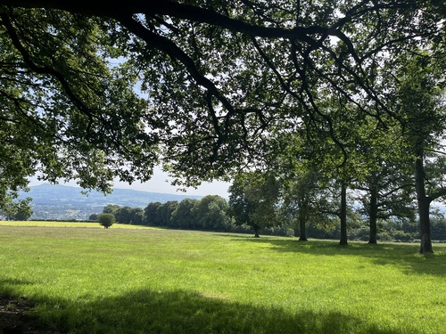 Bright green fields under trees with hills and a town visible in the distance on a sunny day in Mortimer Forest