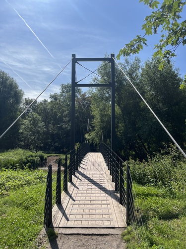 A wooden suspension footbridge over a stream in the woodland at Attingham Park