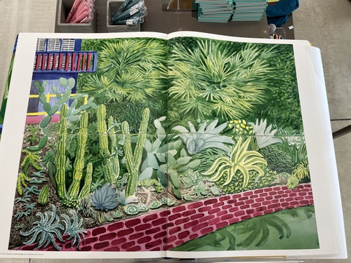 A close-up of the open SUMO book showing a detailed watercolour painting of a cactus and succulent garden with a red brick path