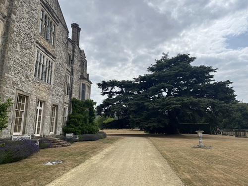 Parham House's stone frontage with mullioned windows, a lavender border and a large cedar tree on the lawn