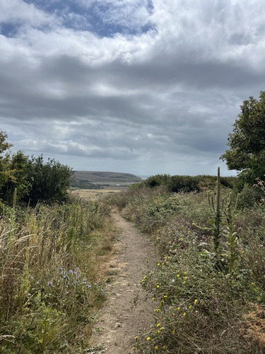 A path through wildflowers and long grass, with the sea visible in the distance