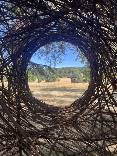 Looking through a woven willow sculpture out to open parkland
