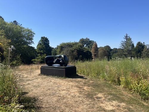 Henry Moore's dark bronze Reclining Connected Forms sculpture set among long grass and wildflowers
