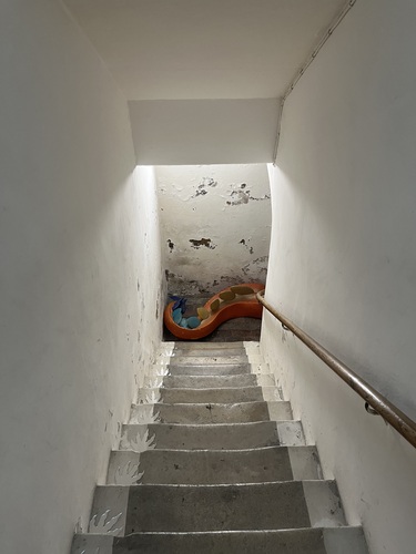 A dragon disappearing down the basement steps