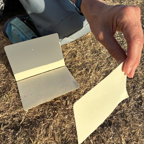 Holding up the homemade pinhole viewer, cut from a page of my notebook