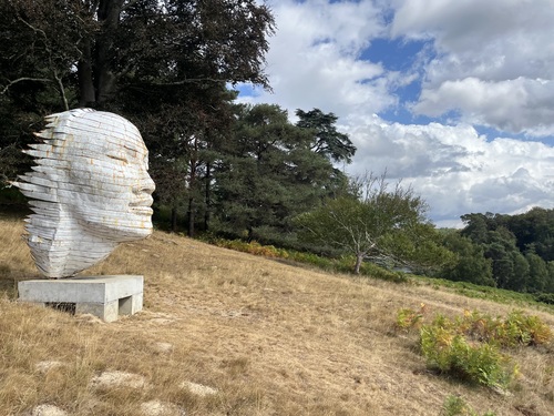 Oblivion of the Waves: A large sculpted metal head resting on a grassy hillside