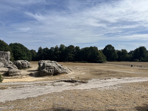 Sandstone rock outcrops on the open grassland of Tunbridge Wells Commons