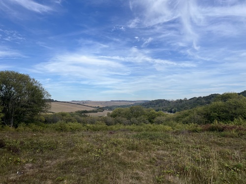 View over the Waterhall reserve with a patchwork of fields and wooded hillside under a wide sky