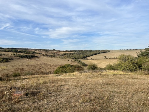 Dry summer grassland sloping down into a wooded valley at Waterhall