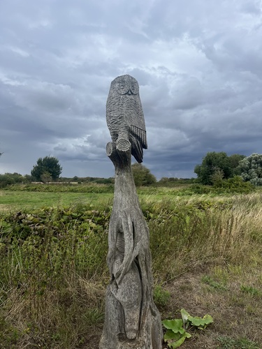 A weathered wooden owl carving perched on a carved tree stump