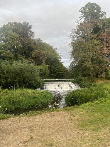 A small weir with water cascading over it, framed by trees