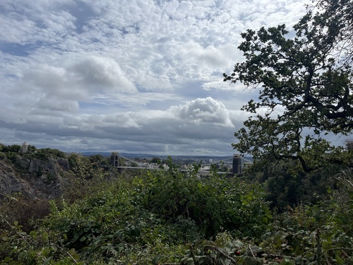 Clifton Suspension Bridge seen from a woodland viewpoint at deck level, with towers on both sides of the gorge