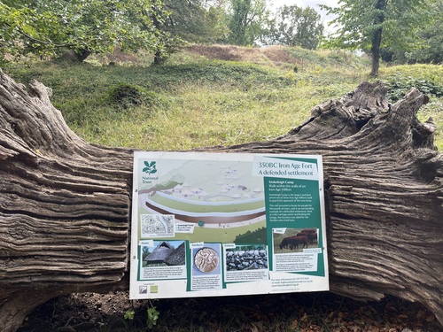 National Trust information sign about the 350BC Iron Age fort at Stokeleigh Camp, mounted on a fallen tree trunk