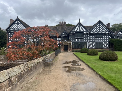 Speke Hall's black and white timber-framed facade with a Japanese maple in autumn colour
