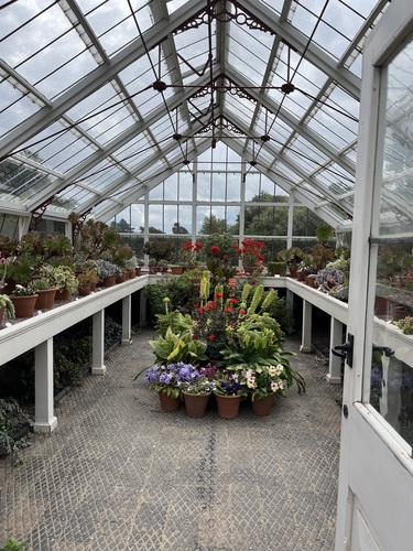 Potted plants arranged in the centre of a Quarry Bank greenhouse