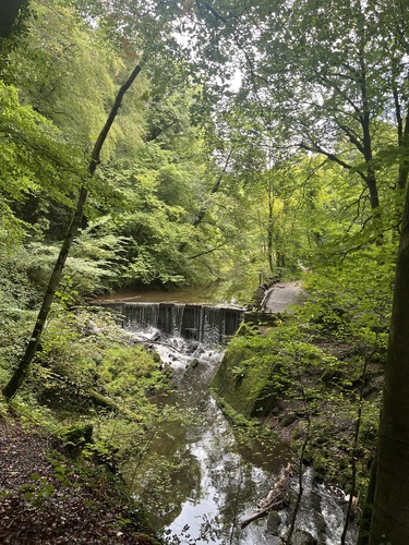 View through the trees towards a weir