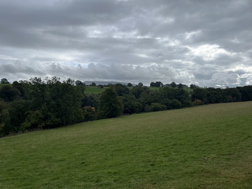 Green fields with hills in the distance