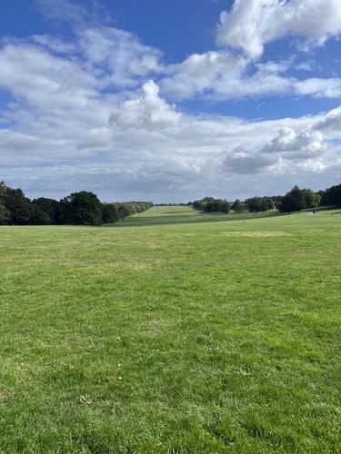 Rows of trees looking down over green parkland at Nostell