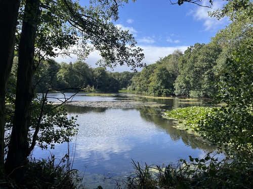 Lake at Nostell Priory