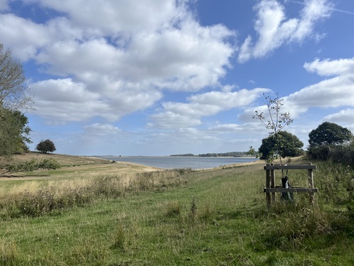 View across Rutland Water framed by trees
