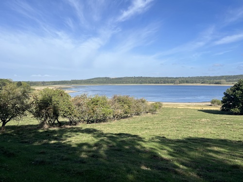 Wide view across Rutland Water