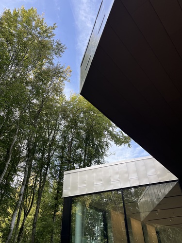 Looking up from the terrace at the cafe