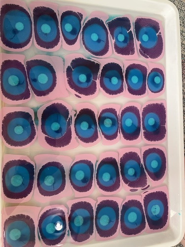 Inks floating in the marbling bath before being worked into attempt 2