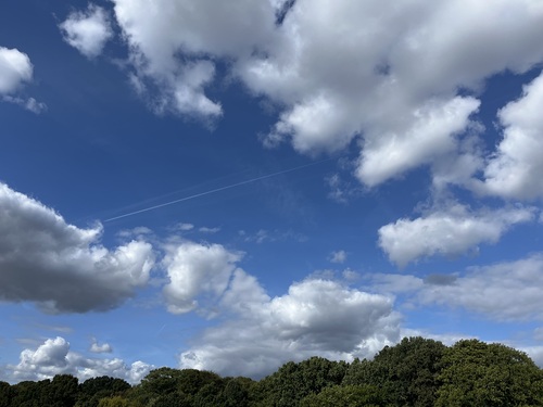 Big clouds over treetops, taken from a bench at the top of Parliament Hill
