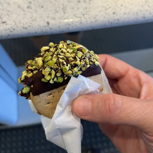 A pistachio ice cream sandwich dipped in dark chocolate