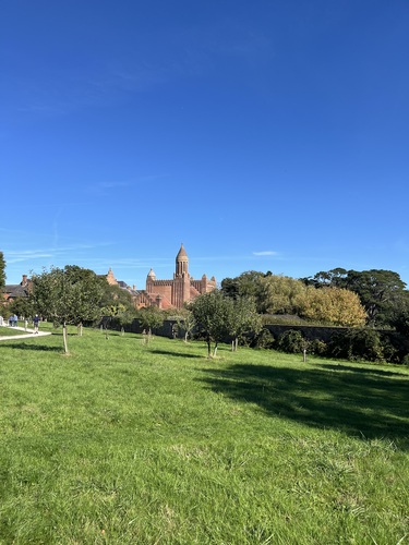 The red brick tower of Quarr Abbey rising above a young apple orchard