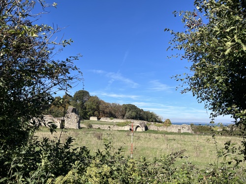 The ruins of the original Quarr Abbey across a meadow, framed by hawthorn branches with the sea beyond