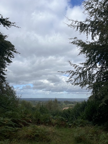 A view across the valley framed by trees on either side