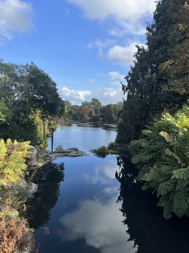 Looking out from one of the bridges, with trees on either side and ahead, and a break in the water. Clouds reflect in the dark water in the foreground.