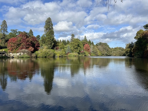 Looking across a still pond showing reflections of the trees in various colours - greens, bronzes and reds
