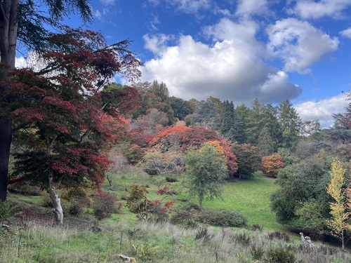 A grassy hollow with red, orange and green trees beneath a blue sky and big white clouds