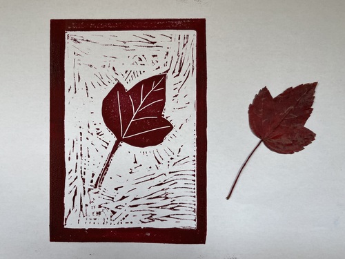 A red lino print of a maple leaf, with the real leaf that inspired it beside the print