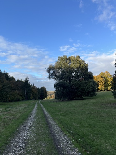 Following a path towards the house and gardens from the edge of the arboretum