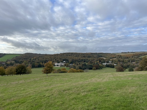 View from the edge of the arboretum over the house and gardens