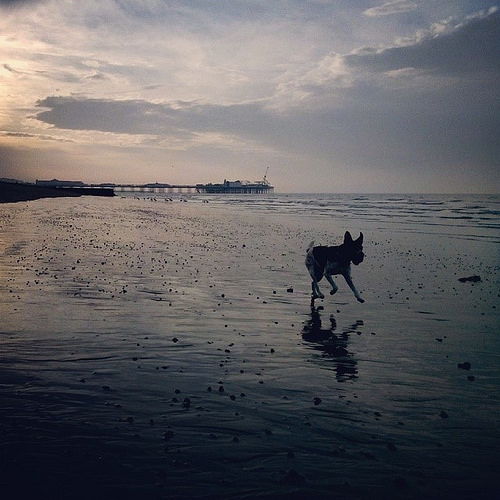 Another day. Another low tide sandy beach photo