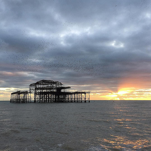 Another sunset, pier, and starlings shot