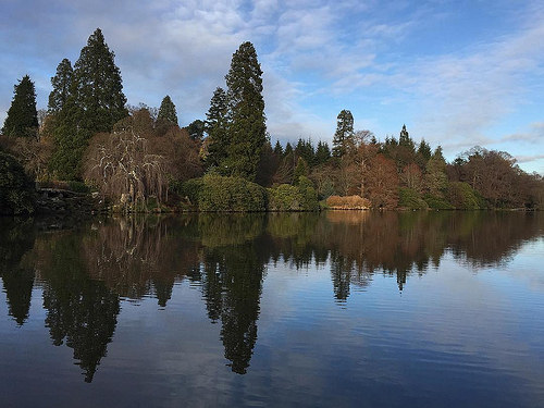 Beautiful afternoon reflections at Sheffield Park