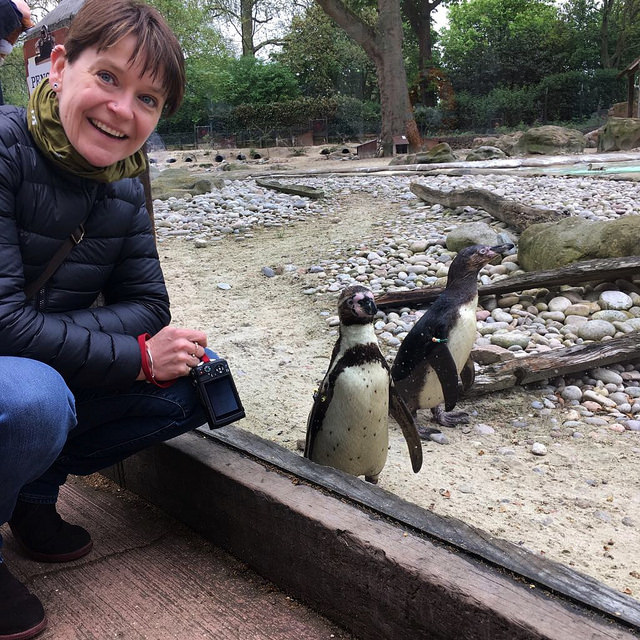 Me and the penguins